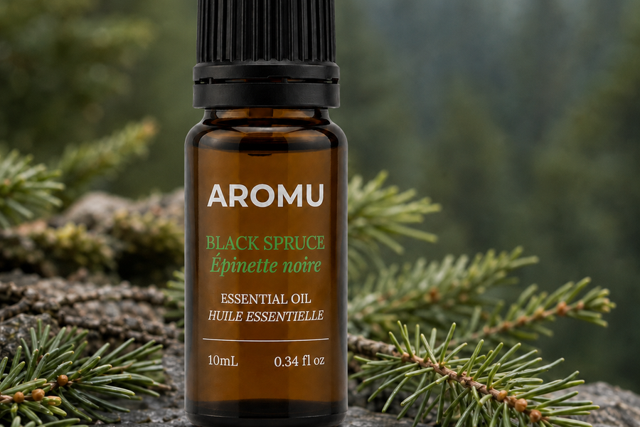 Black Spruce Essential Oil