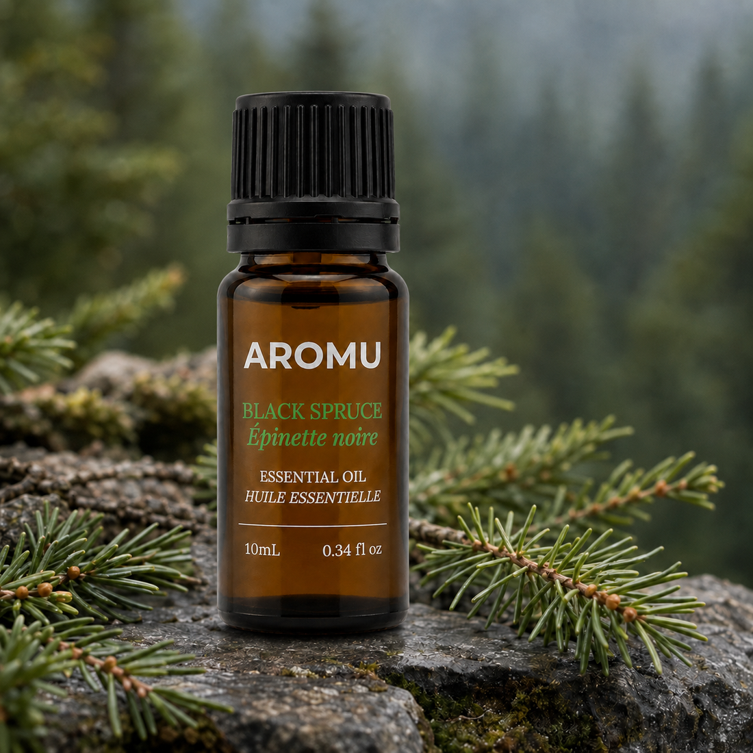 AROMU Black Spruce Essential Oil in a northern forest setting