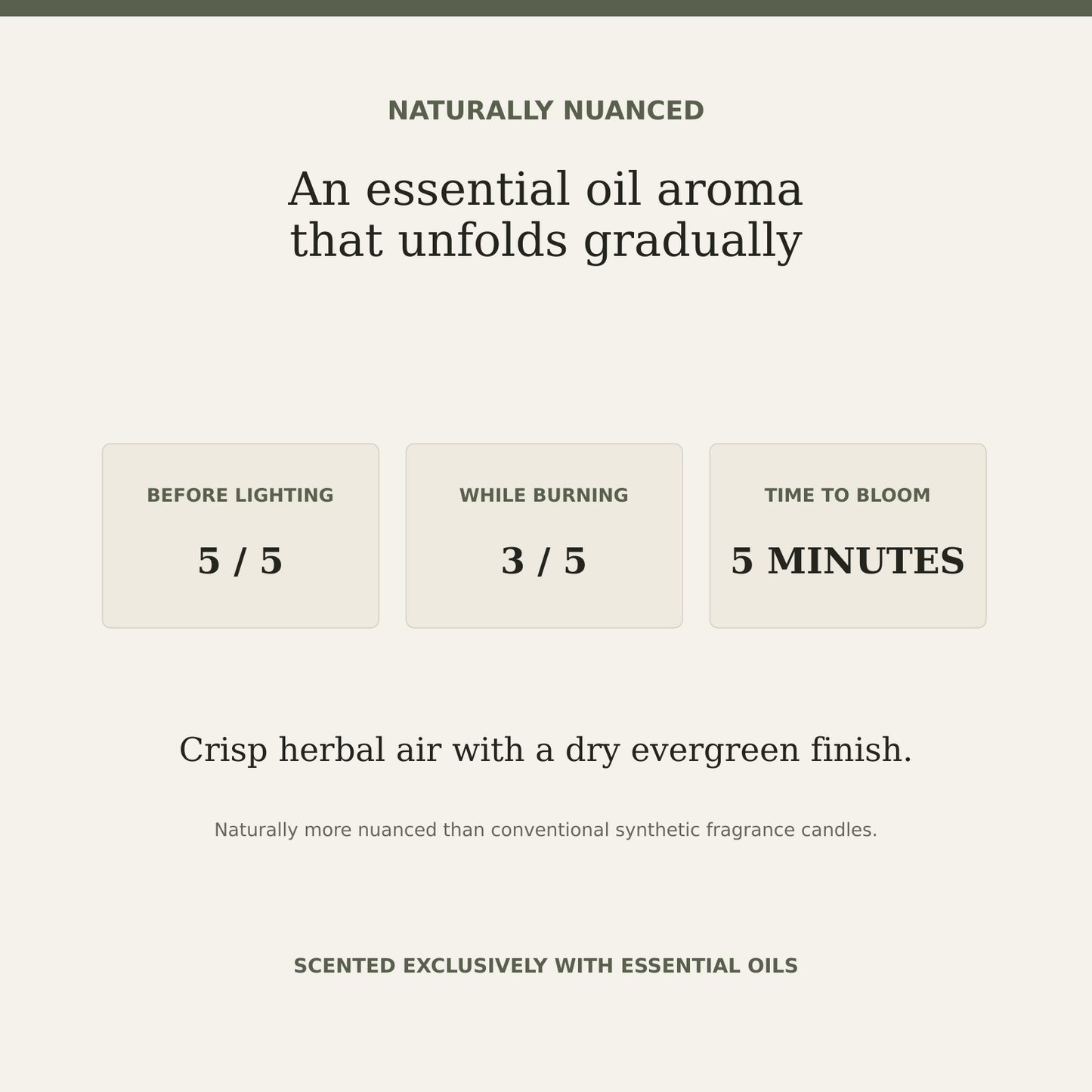 Forest Purify natural essential oil aroma and fragrance intensity guide