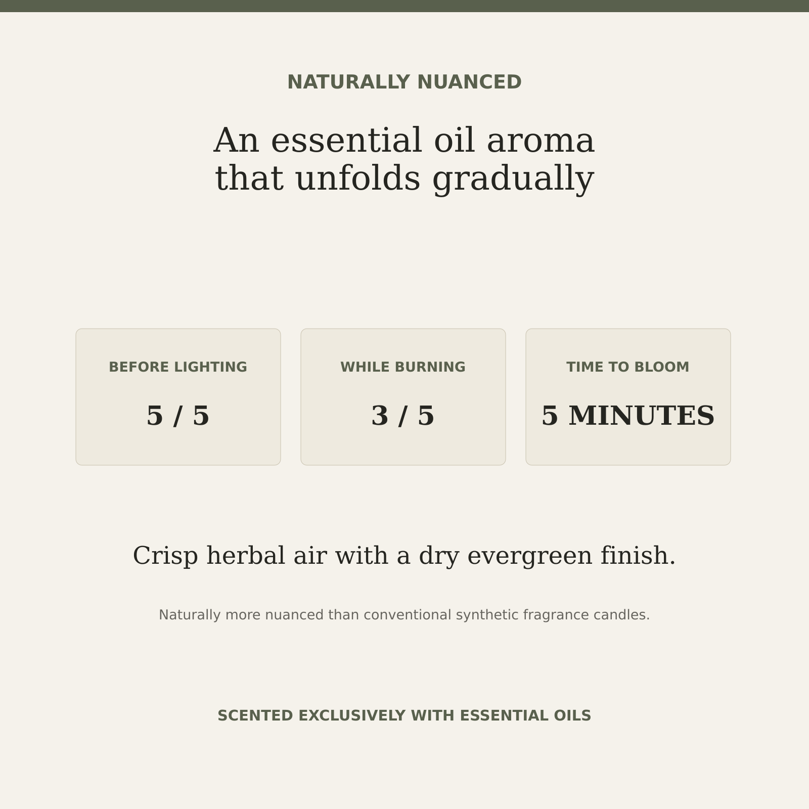 Forest Purify natural essential oil aroma and fragrance intensity guide