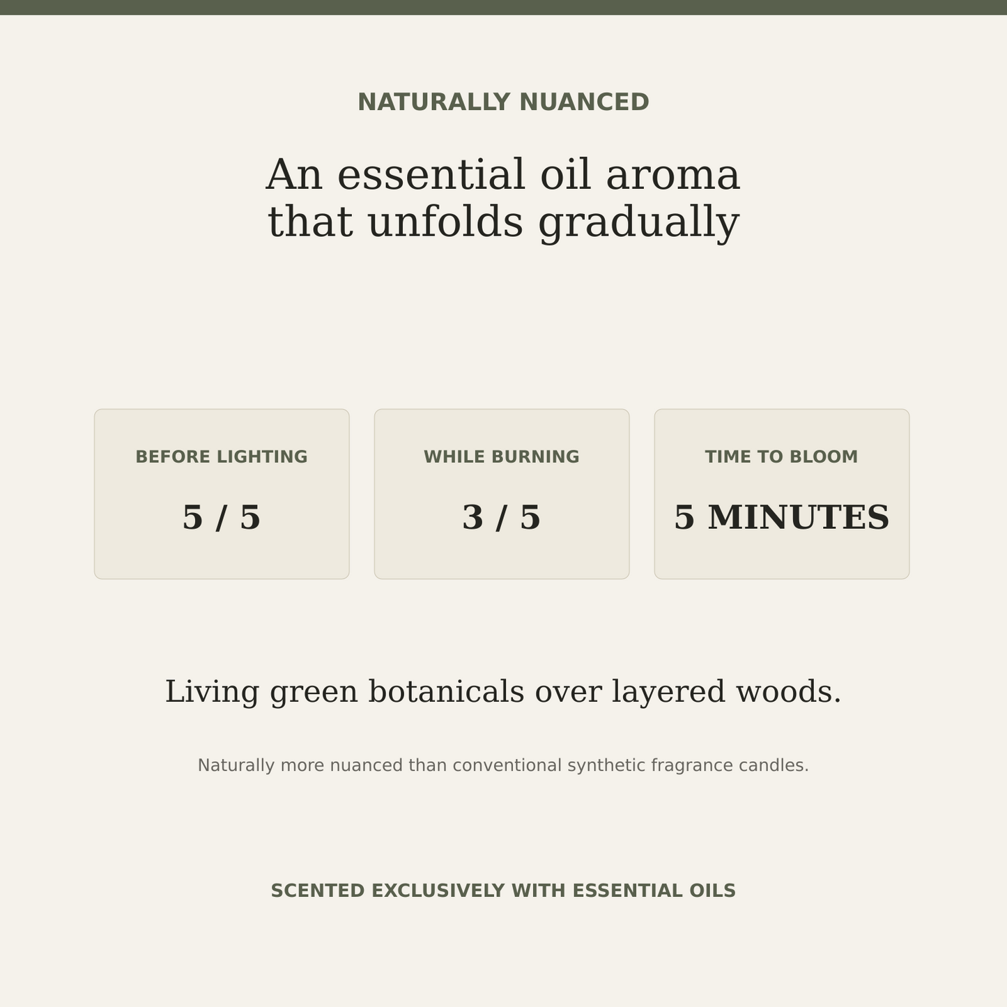 AROMU B03 Verdant Forest natural aroma information