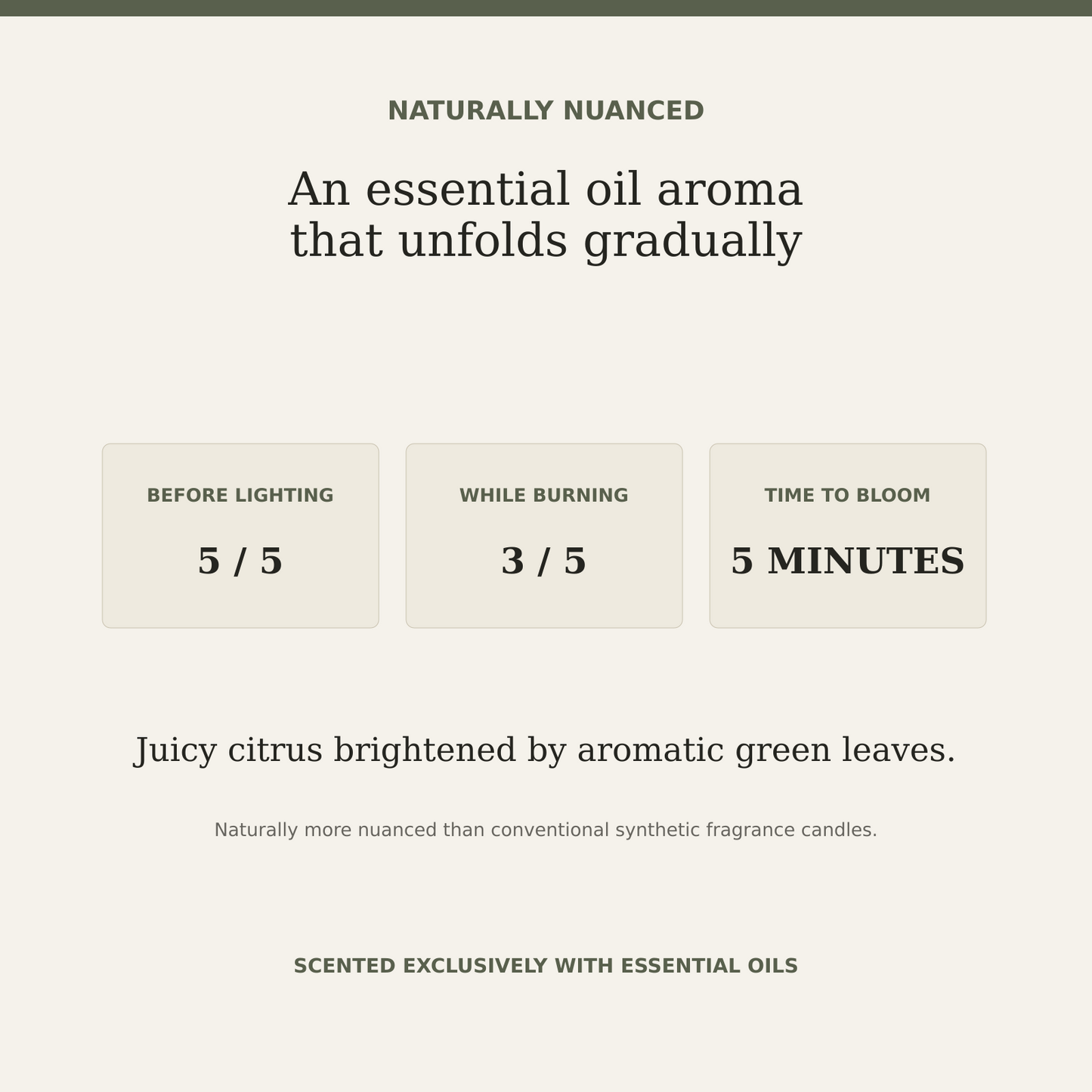 AROMU C03 Citrus Grove natural aroma information
