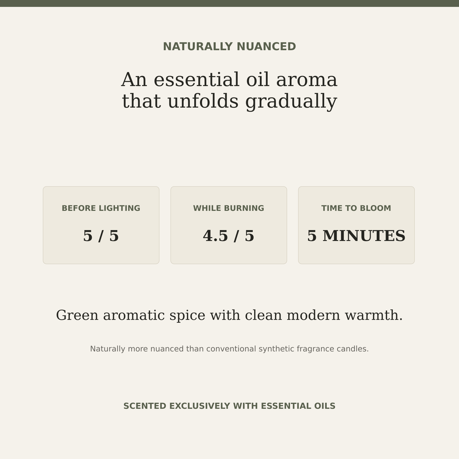 AROMU W03 Green Cardamom natural aroma information