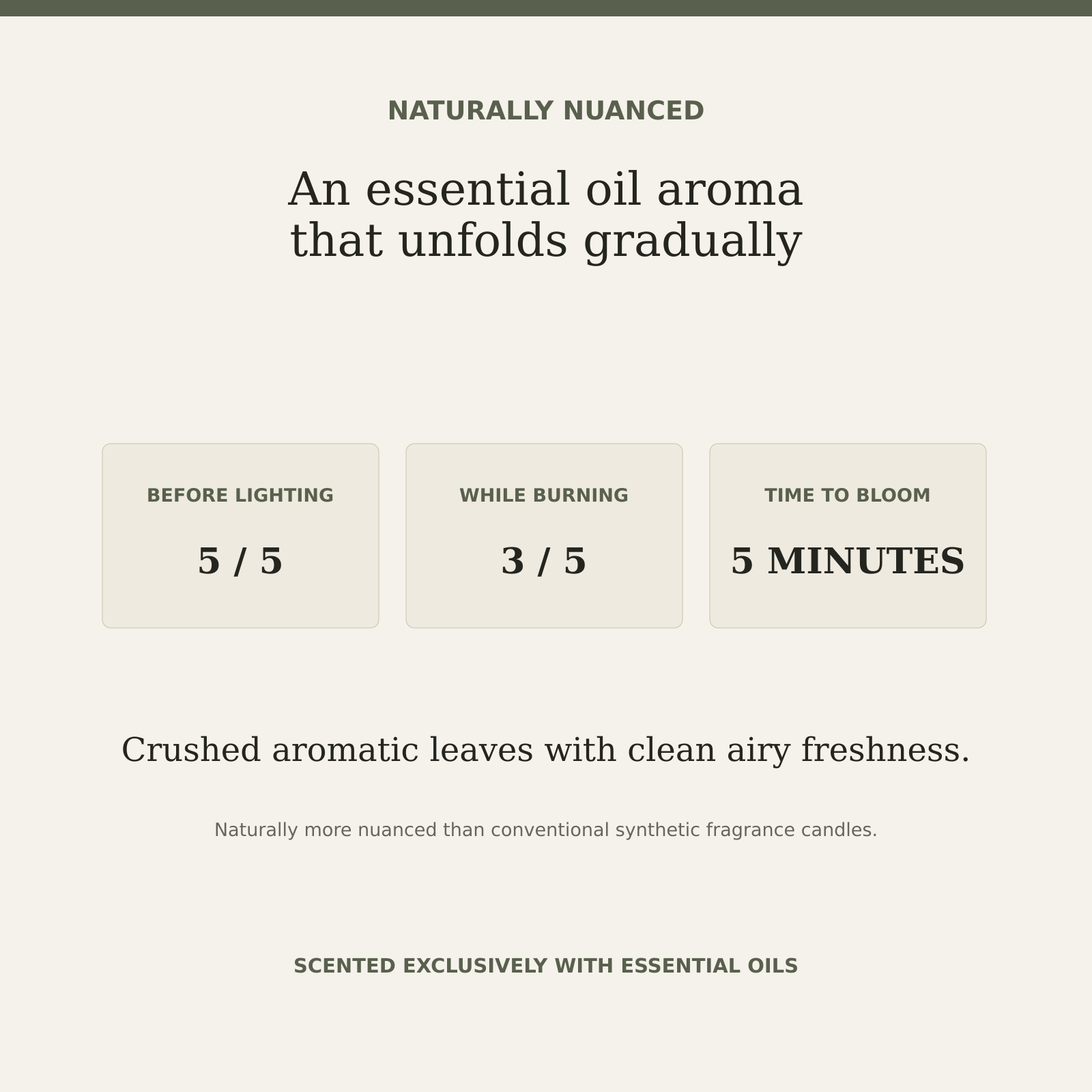 AROMU W04 Green Basil natural aroma information