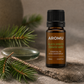 AROMU Black Spruce Essential Oil with fresh spruce branches