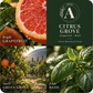 Citrus Grove Essential Oil Candle scent profile with key essential oils