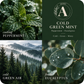 Cold Green Mint Essential Oil Candle scent profile with key essential oils