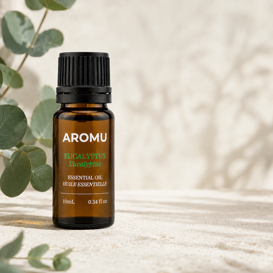 Eucalyptus Essential Oil with fresh eucalyptus leaves