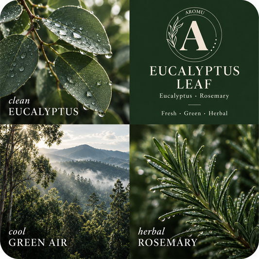 Eucalyptus Leaf Essential Oil Candle scent profile with key essential oils