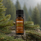 AROMU Fir Needle Essential Oil in an evergreen forest setting