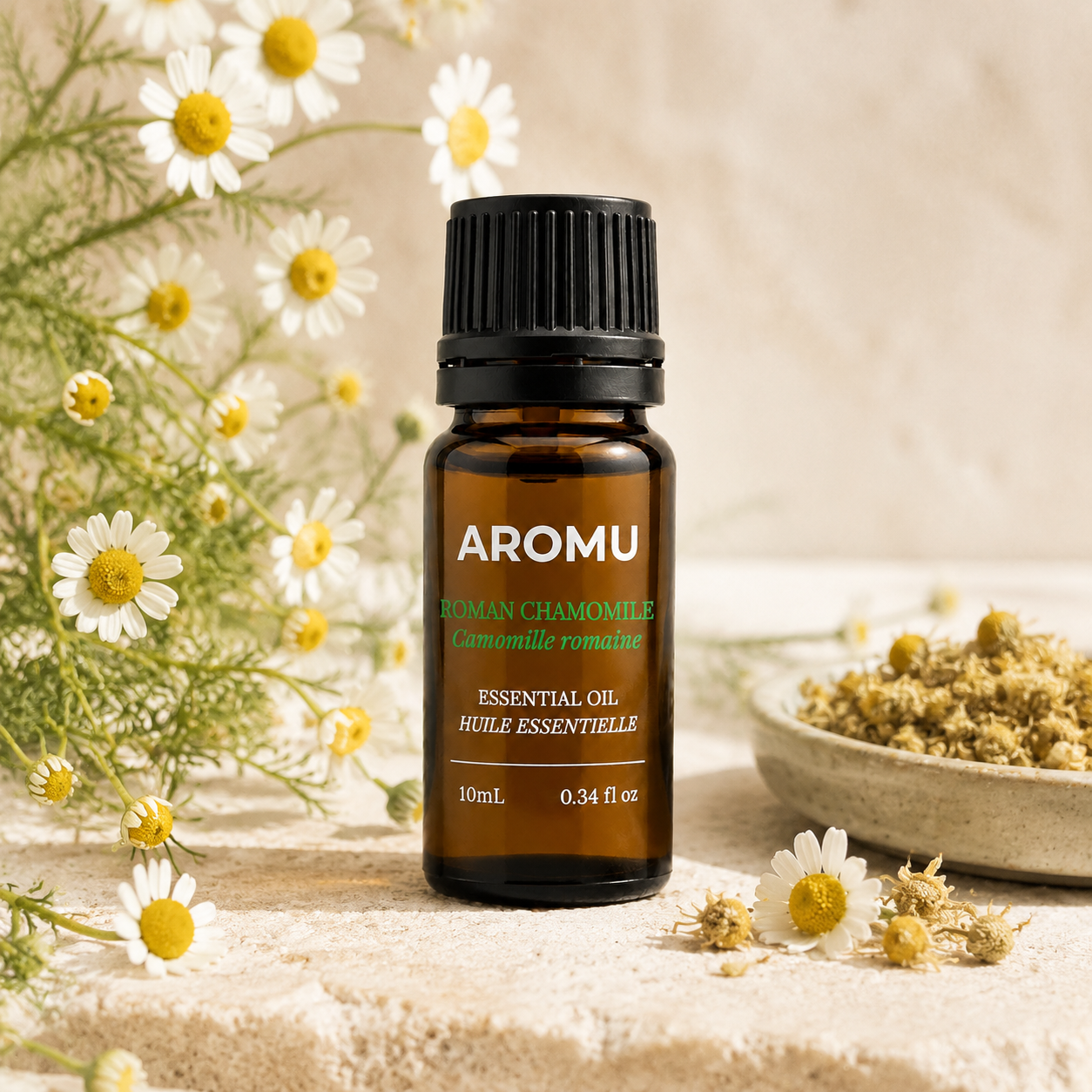 Roman chamomile essential oil with fresh and dried flowers