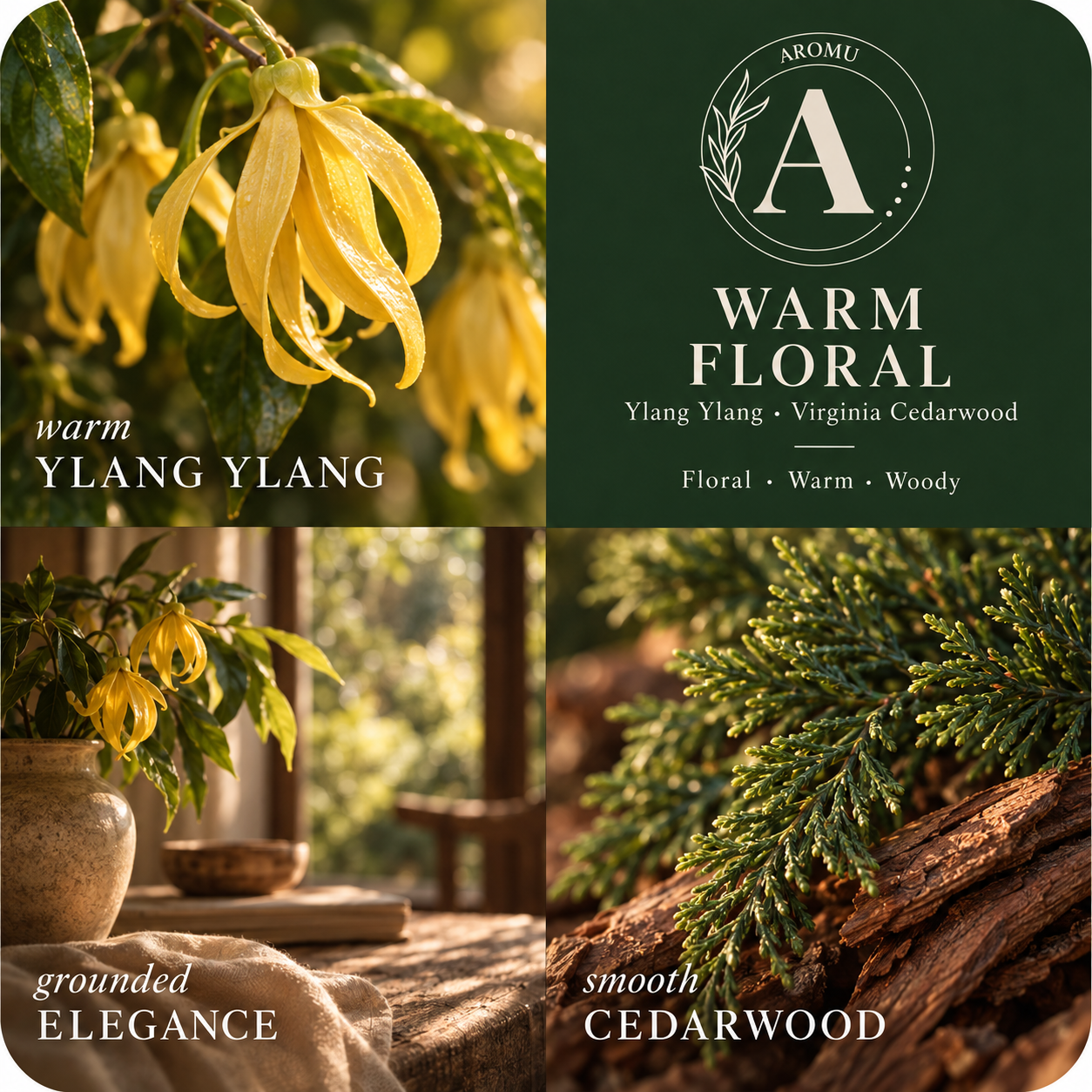 Warm Floral | Ylang Ylang & Cedarwood Essential Oil Candle scent profile with key essential oils